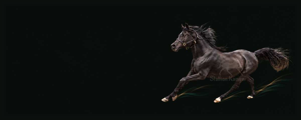 DF Kamyar in dynamic movement on a dark background, used as hero image for the Breeding 2027 page